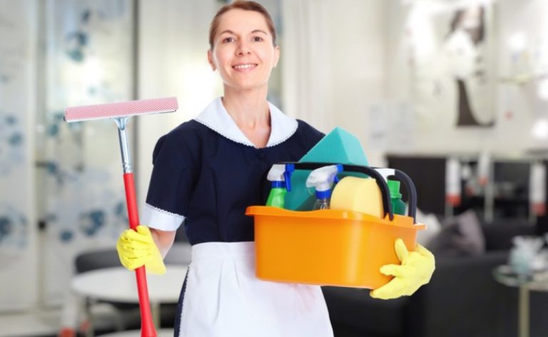 empregado doméstico pode ser MEI